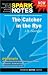 Catcher in the Rye by J. D. Salinger, The (Sparknotes Literature Guides)
