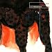 Search : Raga I for Percussion and Orchestra: Part One