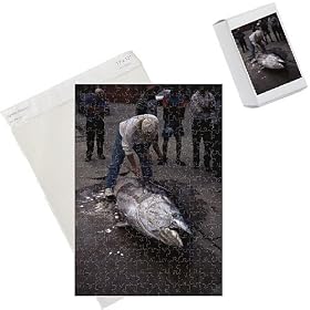 Photo Jigsaw Puzzle of Bluefin Tuna (Thunnus thynnus) caught by big game boat. Azores from Specialist Stock