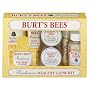 Burt's Bees Radiance Kit