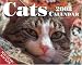 Cats Day-to-Day 2008 Calendar