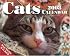 Cats: 2008 Mini Day-to-Day Calendar