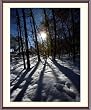Sun Casts Shadows Through the Trees at Snowy Great Falls, Virginia - Evocative - approx. 24"x28" Framed and Matted - 1 7/8" Walnut Toned Wood Frame - Photographic Print by Brendan Reals