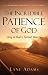 Search : The Incredible Patience of God