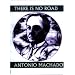 There is No Road: Proverbs by Antonio Machado (Companions for the Journey)