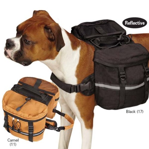 dog lead attachment for pram