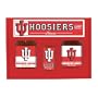 Indiana Hoosiers Tailgate Pack