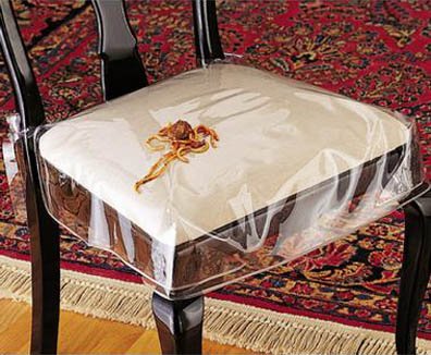 chair seat cover