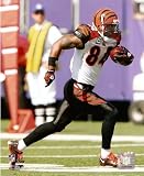 T.J. Houshmandzadeh Bengals Running 8x10 Photo