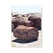 ECOeverywhere Petrified Forest National Park Journal, 160 Pages, 7.625 x 5.625 Inches, Multicolored (jr14296)