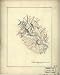 Map of cavalry engagement near Bridgewater, Va., Oct. 4th and 5th, 1864 / by Jed. Hotchkiss. (Civil War Map Reprint measured in inches 29 x 36)