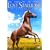 Lost Stallions: The Journey Home