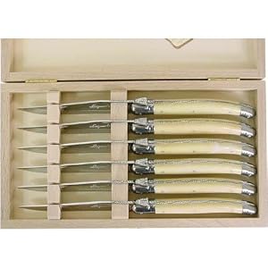 Acrylic Laguiole Verdier Heavy Duty Boxed Set of 6 Knives