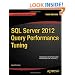 SQL Server 2012 Query Performance Tuning