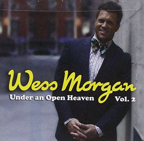 Under an Open heaven Vol. 2