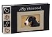 Dog Blessed Photograph Album Image