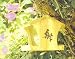 Outdoor Living : Wooden Wild Bird Feeder With Hanging Chain