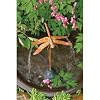 Dripper-Fountain Dragonfly