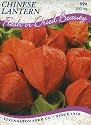 Livingston Seed Co. 6172 Chinese Lantern (P) Seed Packet