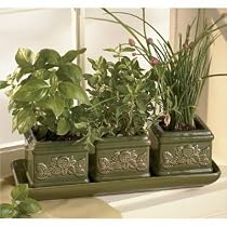 Italian Herb Garden Trio: Indoor Garden Gift Set incl. 3 planters, dip tray, seeds, peat soil pellets.