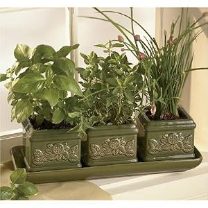 Italian Herb Garden Trio: Indoor Garden Gift Set incl. 3 planters, dip tray, seeds, peat soil pellets.