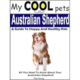 My Cool Pets: Australian Shepherd - All You Need To Know About Australian Shepherds
