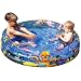 Ocean Life Pool