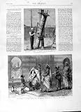 1875 Transit Venus Astronomy New Zealand White Slave