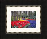Review ArtToFrames  / 4x6 / 4 x 6 Picture Frame Mahogany Slope w/ Silver Diamond Lip .. 4'' wide