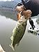 Hengjia 9pcs/lot Shallow Diving Crankbait for Bass and Trout Hard Baits Diving Depth:0.1-0.3m