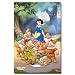Snow White and the Seven Dwarfs Movie (Group) Poster Print - 22x34