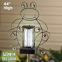 Solar Frog Bug Zapper