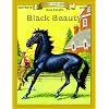 Black Beauty (Bring the Classics to Life: Level 2)