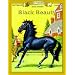 Black Beauty (Bring the Classics to Life: Level 2)