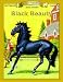 Black Beauty (Bring the Classics to Life: Level 2)