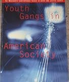 Youth Gangs in American Society (Wadsworth Contemporary Issues in Crime and Justice)