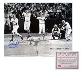 Carlton Fisk Boston Red Sox MLB Hand Signed 16x20 Photograph 1975 World Series HR with 75 WS GM 6 HR