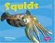 Squids (Pebble Plus)