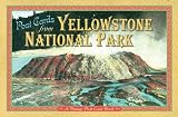 Yellowstone National Park Vintage Postcard Book