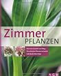 billige zimmerpflanzen
