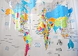 Home World Map Shower Curtain
