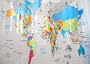 Home World Map Shower Curtain