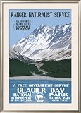 Glacier Bay Framed Poster Print, 31x43