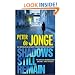 Shadows Still Remain