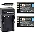 DSTE&reg; 2x EN-EL9 Battery + DC15 Travel and Car Charger Adapter for Nikon D40 D40X D60 D3000 D5000 Digital Camera as EN-EL9A
