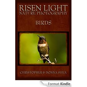 Risen Light Nature Photography of Birds