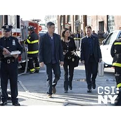 CSI: NY, Season 08