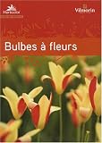 Guide des bulbes à fleurs