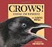 Crows!: Strange and Wonderful