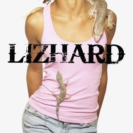 CD-Charts  Search : Lizhard